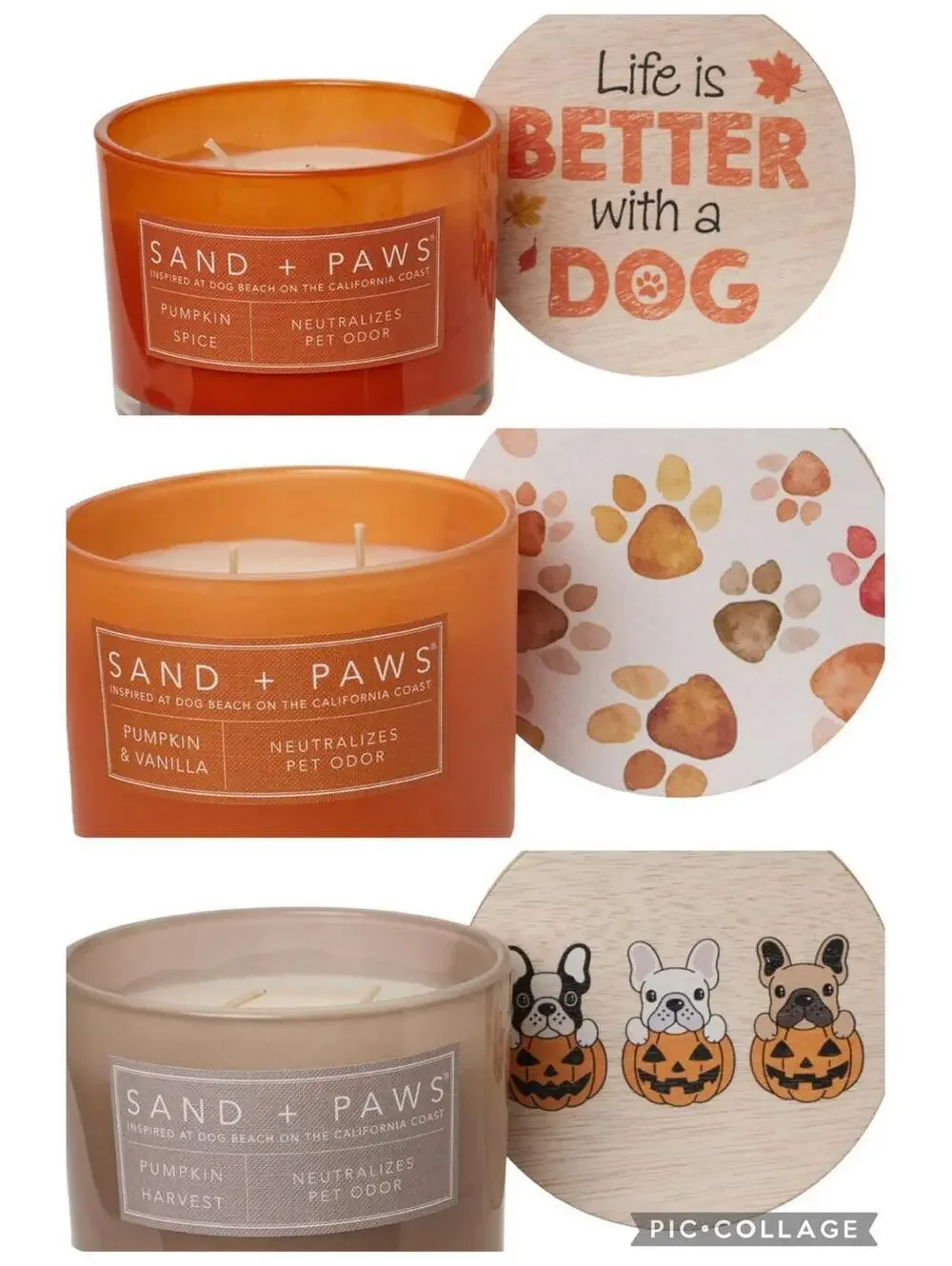 Lot Of 3 Sand + Paws 12 oz Candles Pet Odor Neutralize Fall And Pumpkin Scents